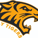 Ely Tigers Under 14's