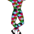 Harlequins Rugby Club